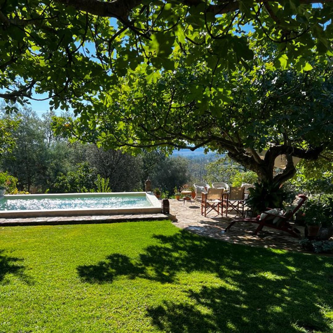 Pool in garden